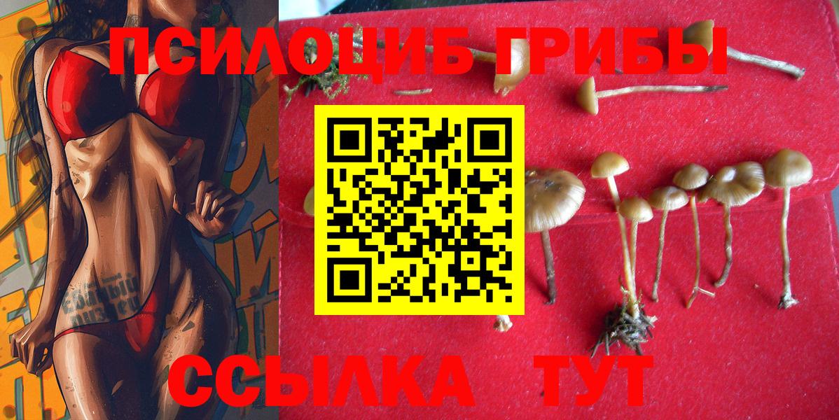 Псилоцибиновые грибы MAGIC MUSHROOMS  Вход с VPN  где купить наркоту  Галлюциногенные грибы прущие грибы  Добрянка 