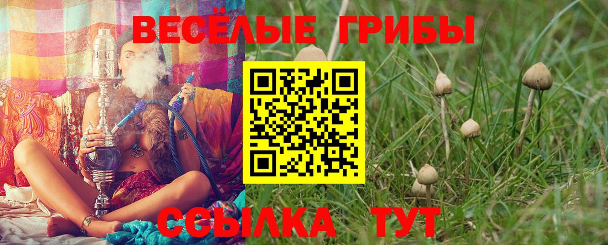 Псилоцибиновые грибы Psilocybe Добрянка